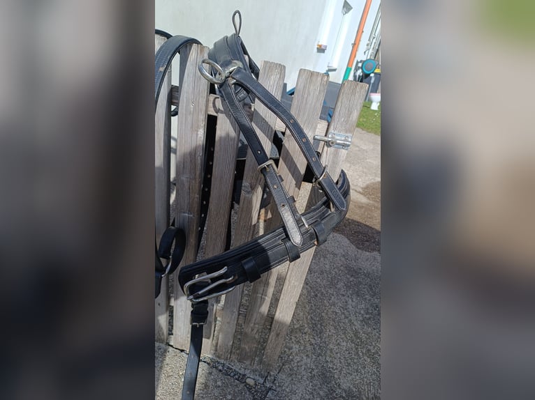 Ponygeschirr / Brustblattgeschirr inkl. Kopfstück, Fahrgeschirr Einspänner
