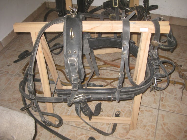 Twee-spanner tuig voor Shetlander (1,10 m)