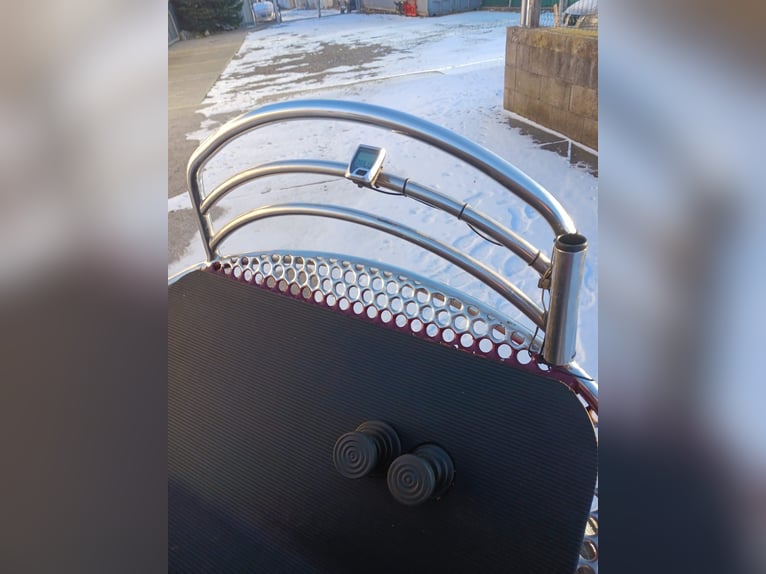 Leon von Hansmeier - Te koop: Trainingswagen