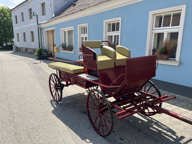 Wagonette / Kutsche Ein- und Zweispännig