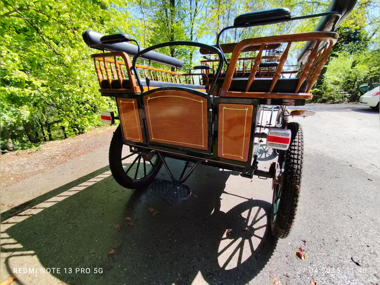 Wagonette, optisch und technisch 1A wie neu