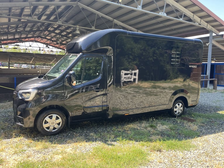 VAN CAVALLI STX 7NRVA MASTER HORSEBOX (usato pochissimo!!!)