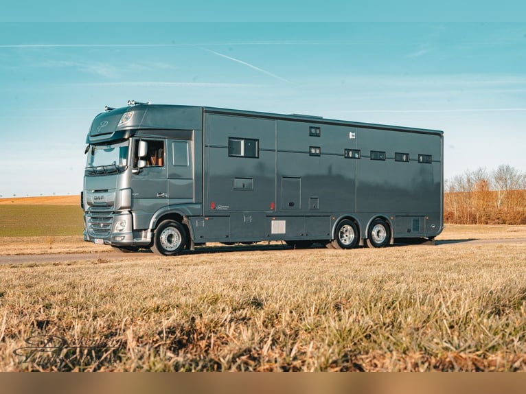  Pferdetransporter Neufahrzeug - 6 Stellplätze -DAF XF530 Wohnmobil 530 PS Tier- Viehtransporter