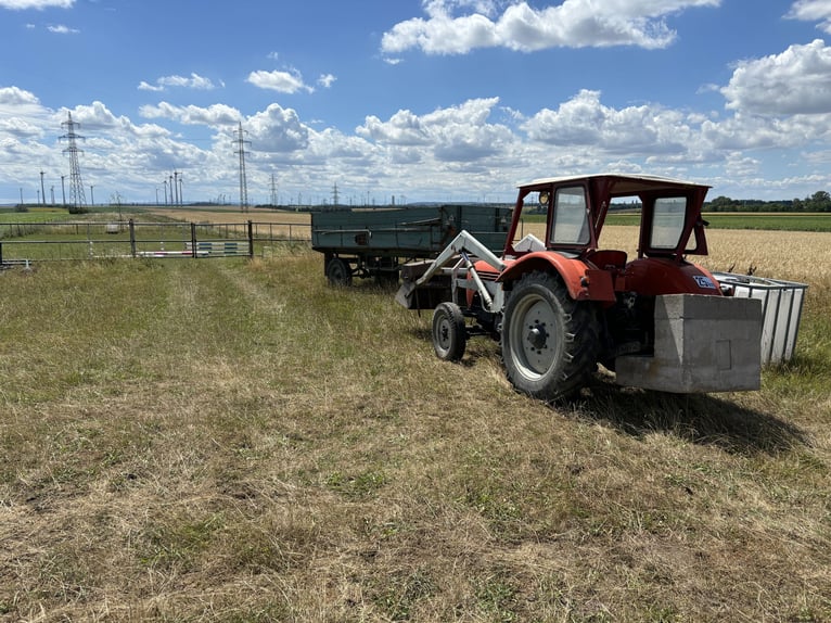 Steyr Traktor T190 mit Schaufel und Mistgabel