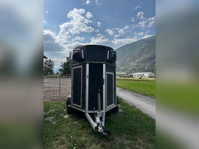 Dubbelpaardentrailer