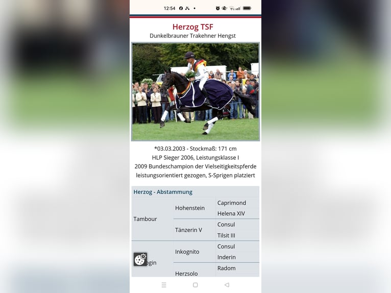 TK-embryo van Herzog TSF wegens verlies dringend te koop aangeboden.