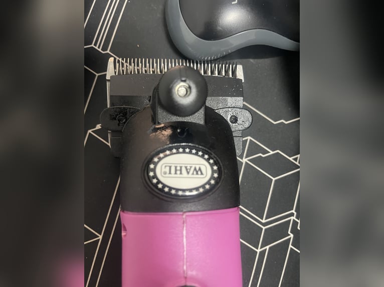 Schermaschine von Wahl Modell Star