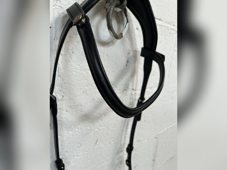 Bridlery bridle Leave