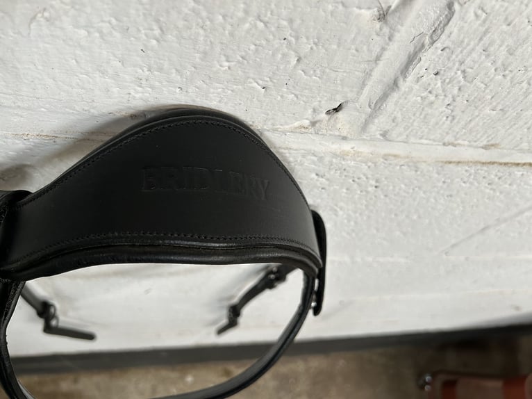 Bridlery bridle Leave