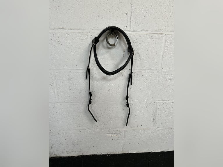 Bridlery bridle Leave