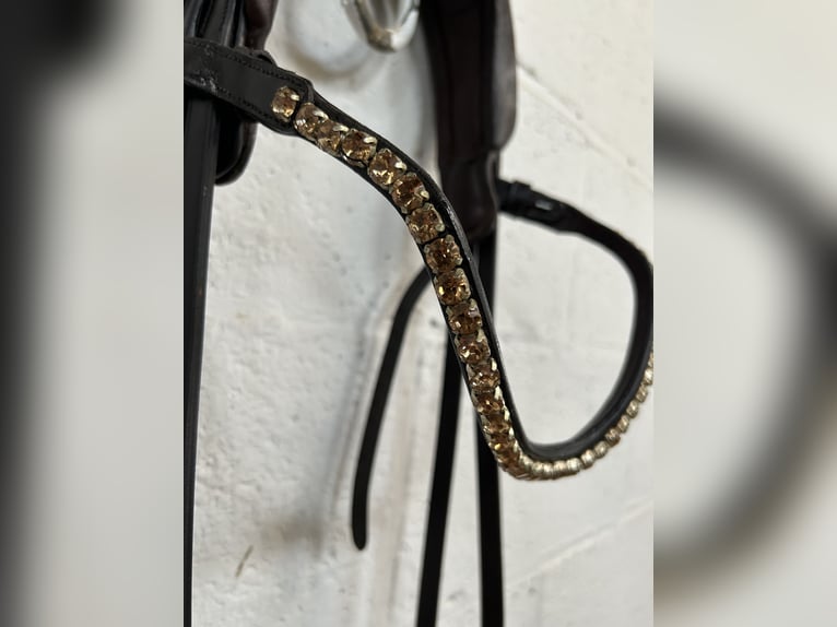 The Equemist bridle