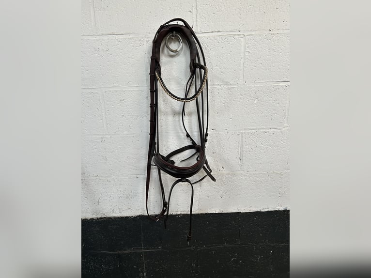 The Equemist bridle