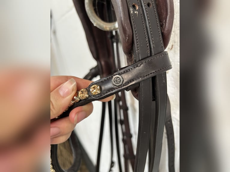 The Equemist bridle
