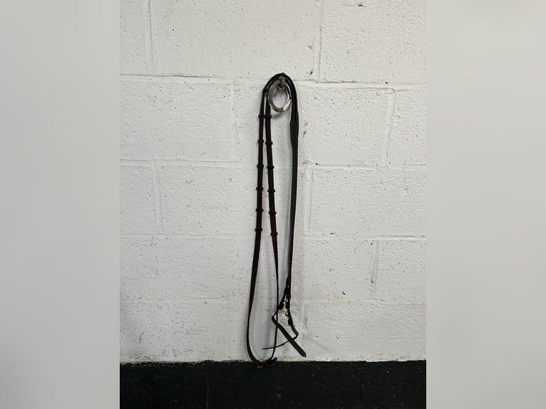 The Equemist bridle
