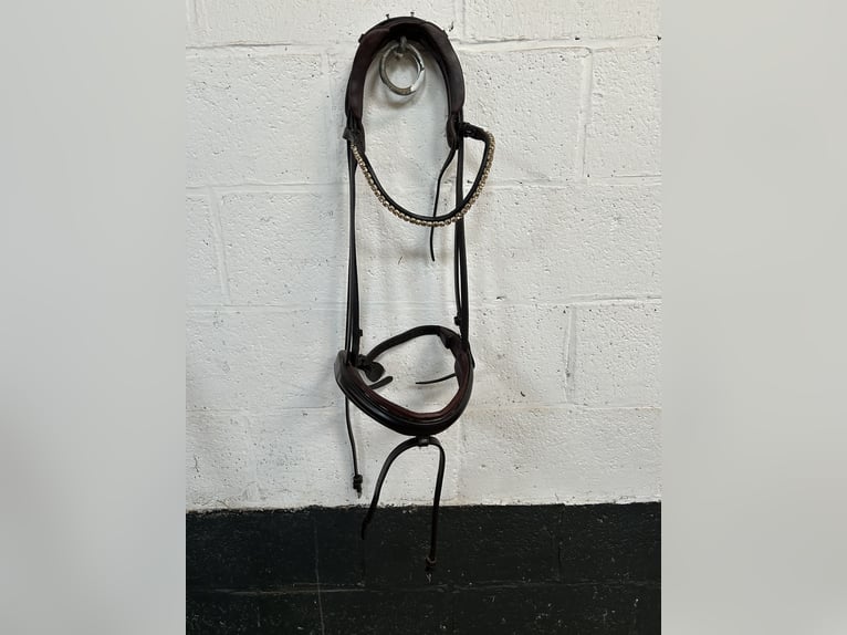 The Equemist bridle