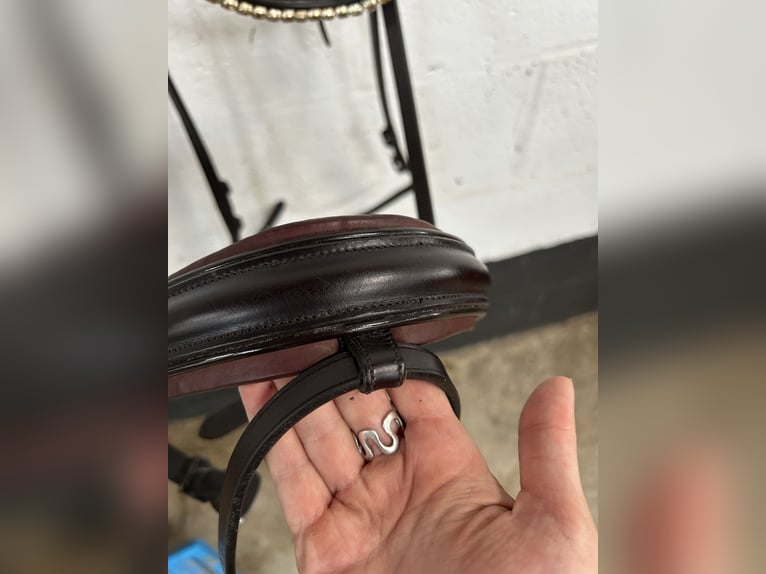 The Equemist bridle