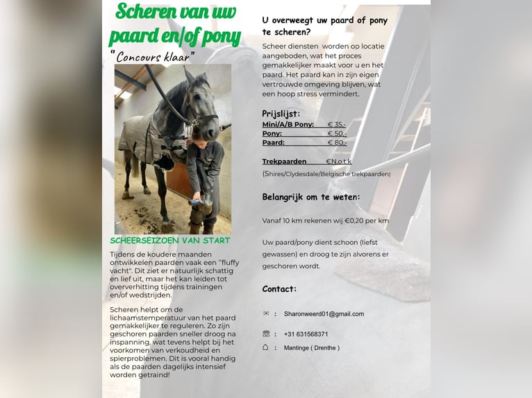 scheren van uw paard en of pony