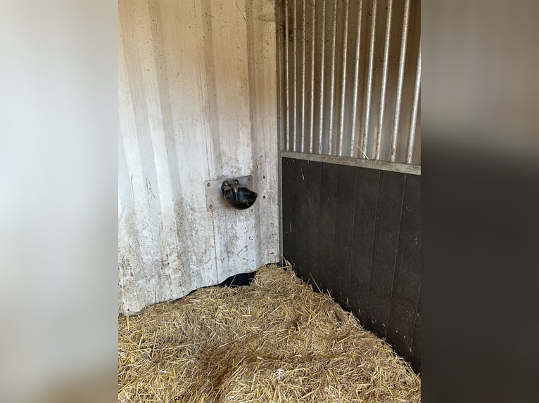 Stalcontainers te koop