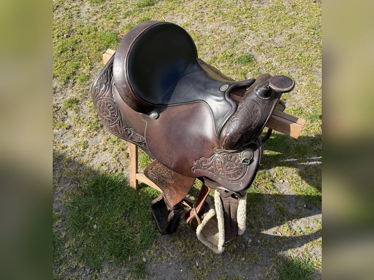 Westernzadel Cicrle Y
