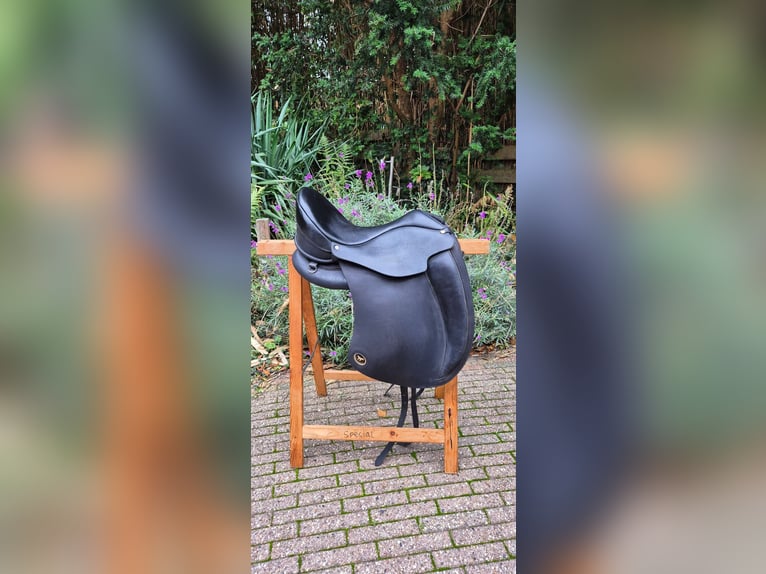 Ghost c line bolzano piccolo 