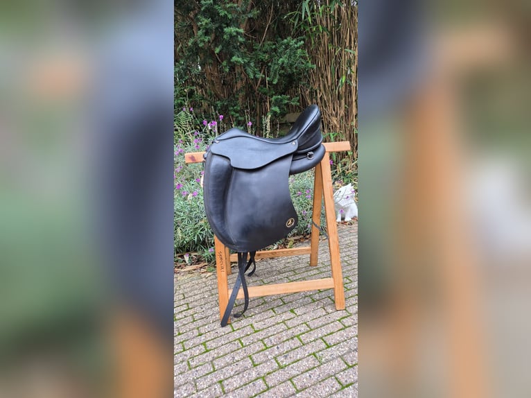 Ghost c line bolzano piccolo 