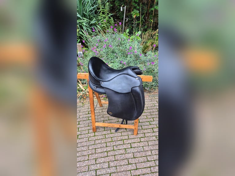 Ghost c line bolzano piccolo 