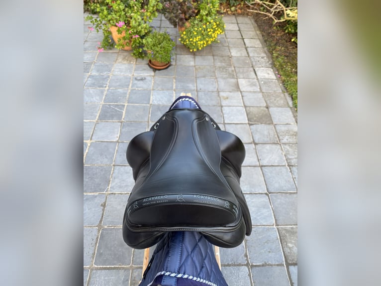 Acavallo Raffaello dressuurzadel, 17,5 inch