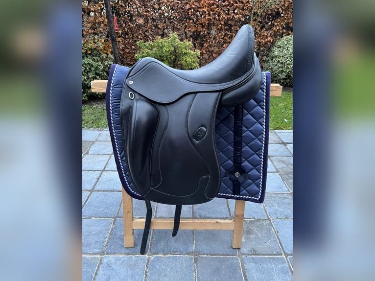 Acavallo Raffaello dressuurzadel, 17,5 inch