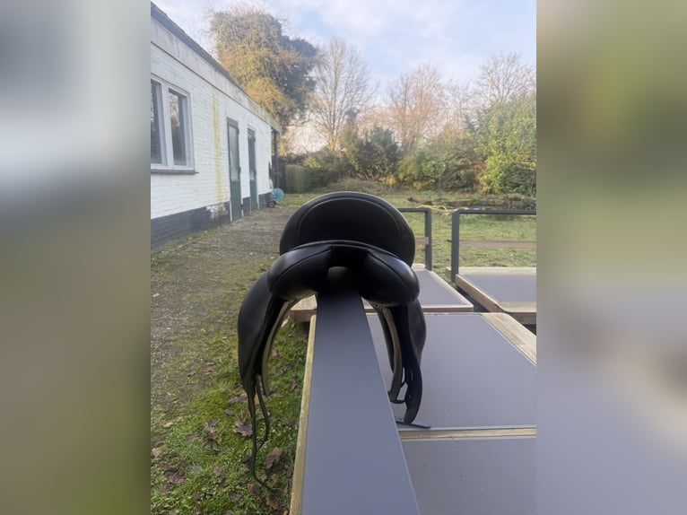 Anatomica dressuurzadel