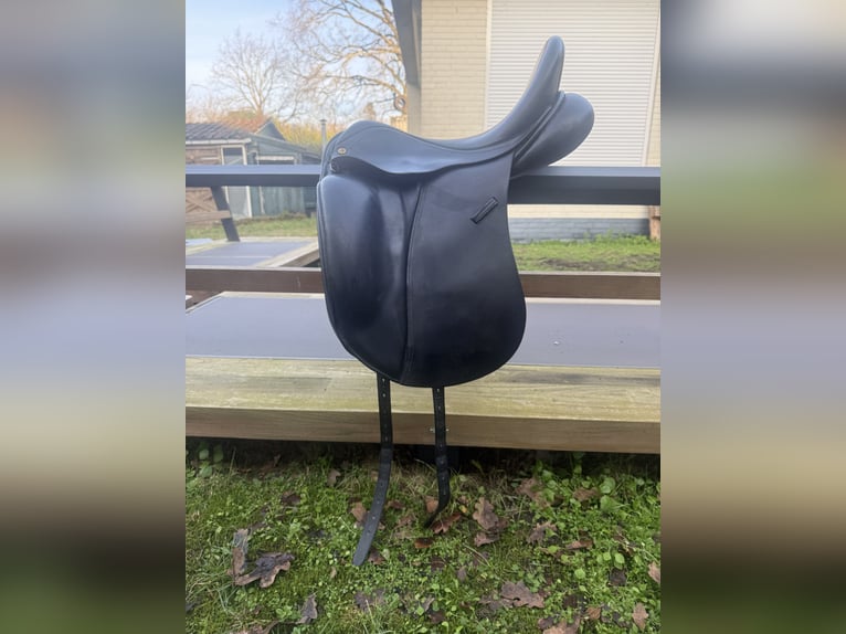 Anatomica dressuurzadel