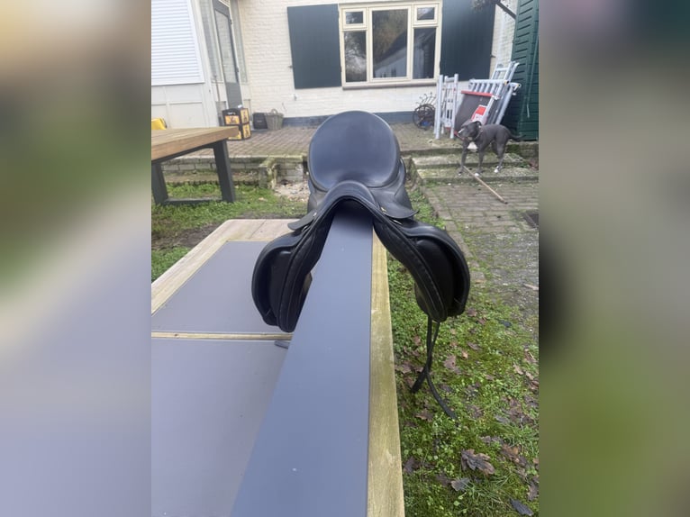 Anatomica dressuurzadel