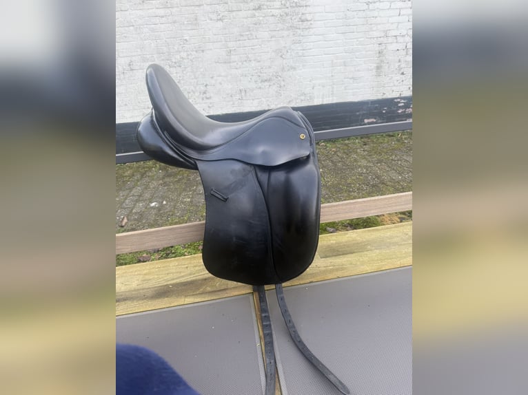 Anatomica dressuurzadel