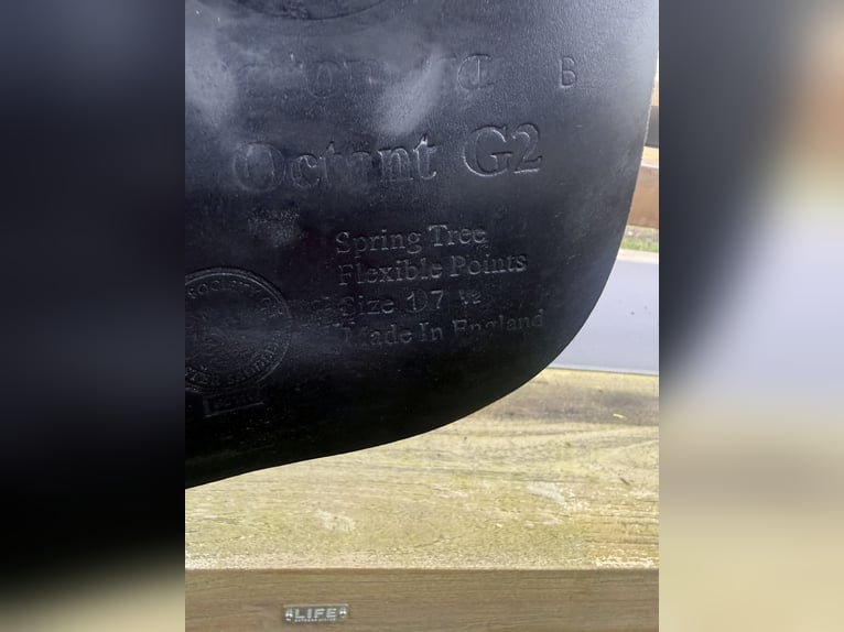 Anatomica dressuurzadel