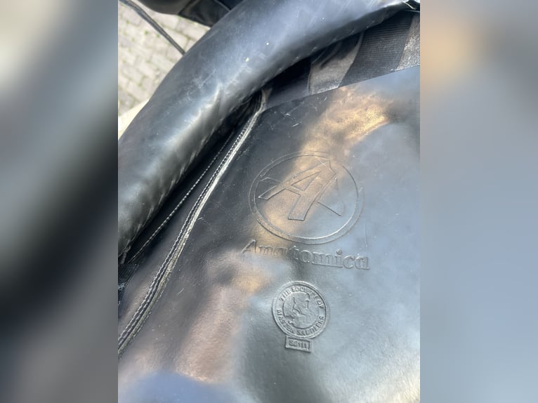 Anatomica s-line 18 inch maat 4 mw