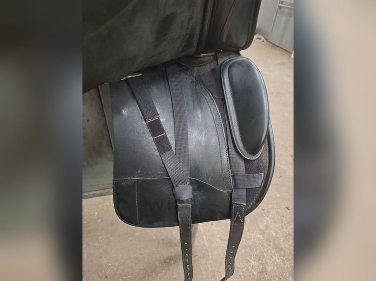 Dressuurzadel Bates wide 17 inch