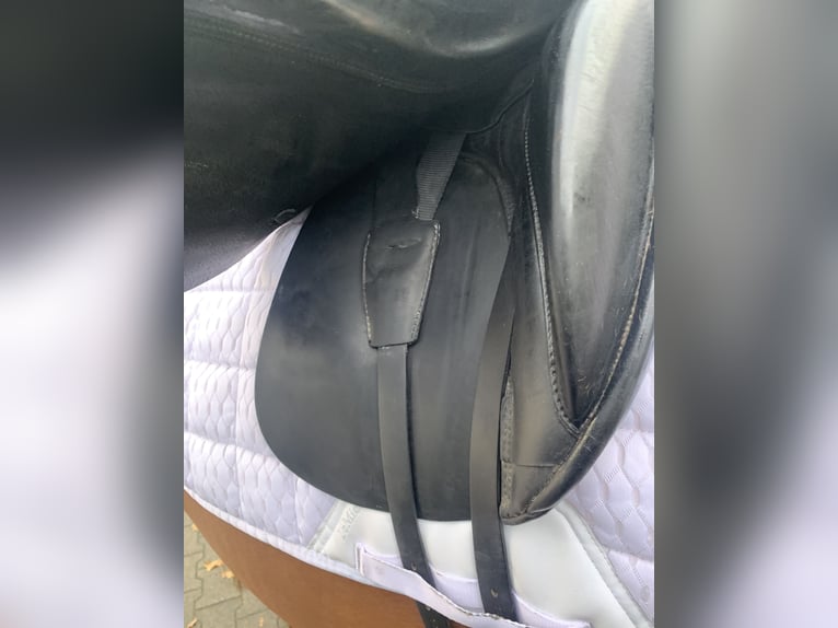Dressuurzadel Schutte Farringston’s Custom Saddle
