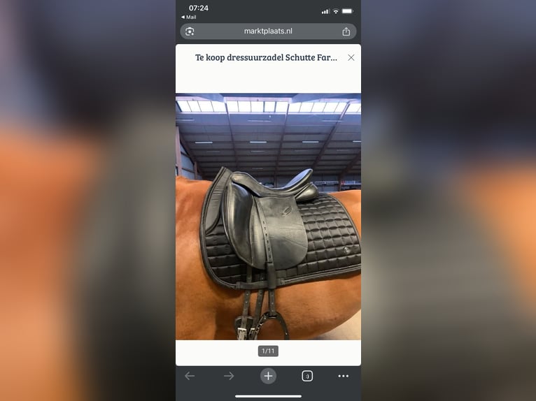 Dressuurzadel Schutte Farringston’s Custom Saddle