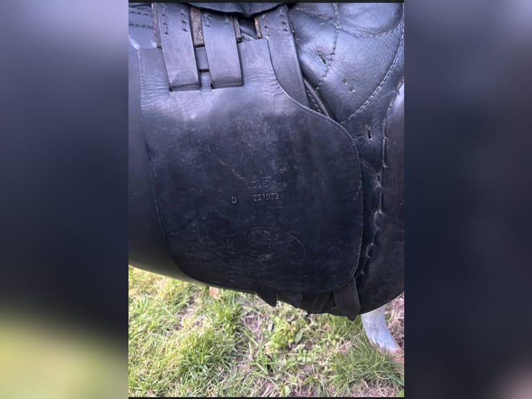 G.passier & Sohn zadel 