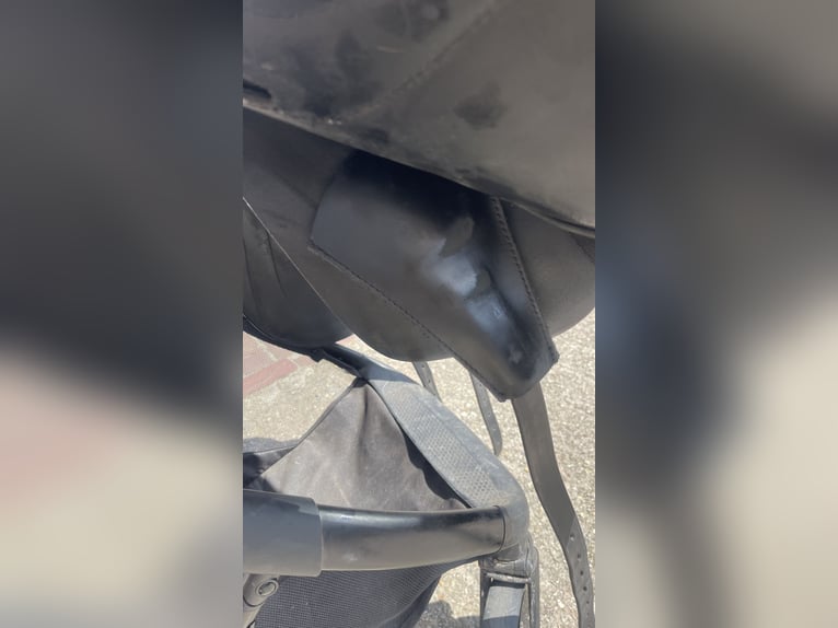 ingsley D5 te koop! ingsley D5 te koop!