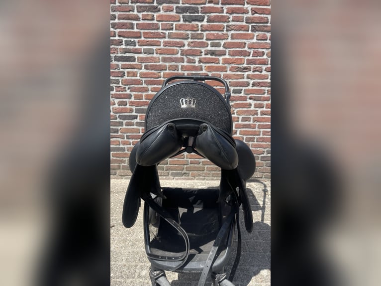 ingsley D5 te koop! ingsley D5 te koop!