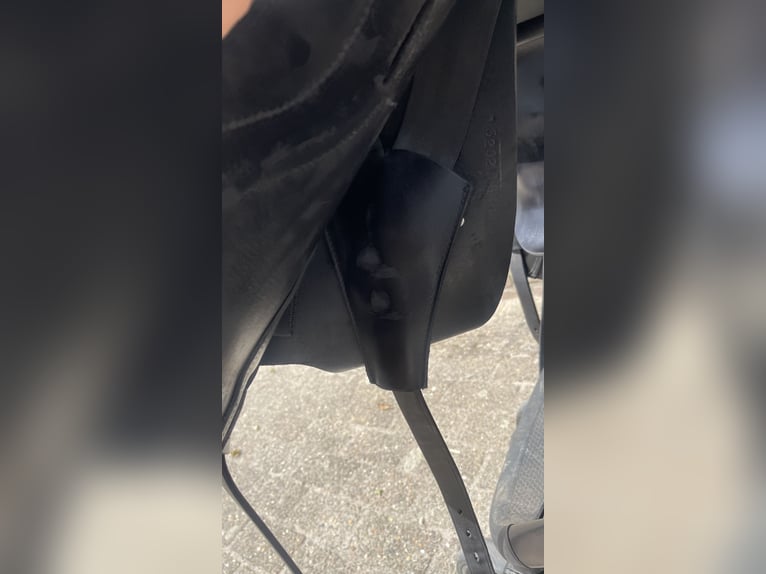 ingsley D5 te koop! ingsley D5 te koop!