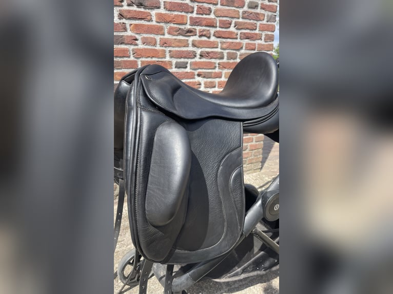 ingsley D5 te koop! ingsley D5 te koop!