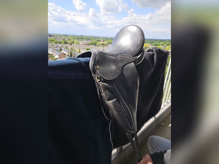 Net zwart Pagoni dressuurzadel van 17 inch te koop.