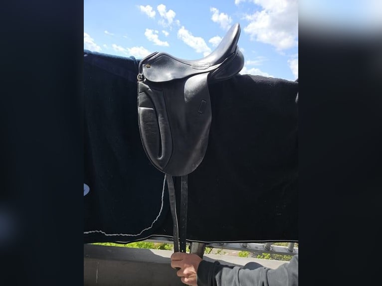Net zwart Pagoni dressuurzadel van 17 inch te koop.