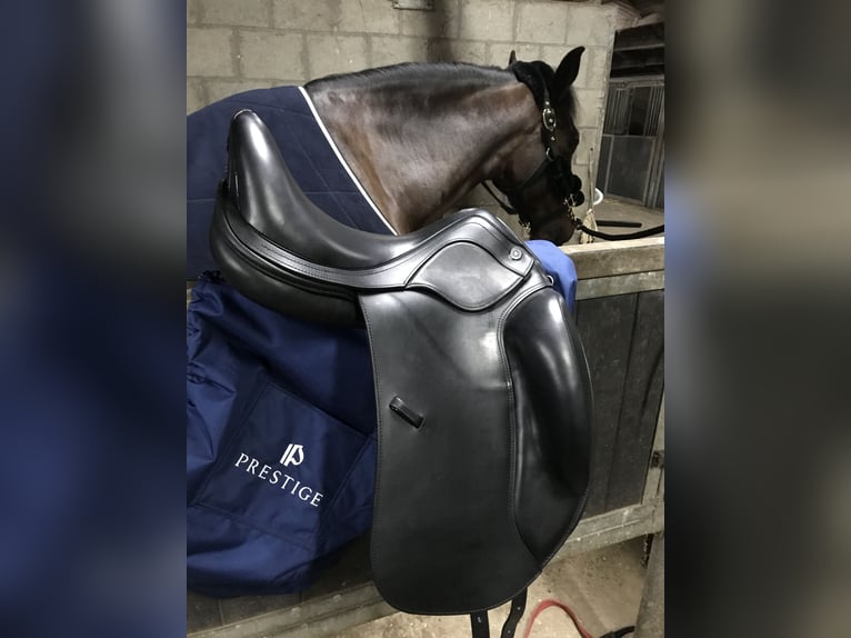 Prestige Brillante K AS-X mono dressuurzadel te koop.