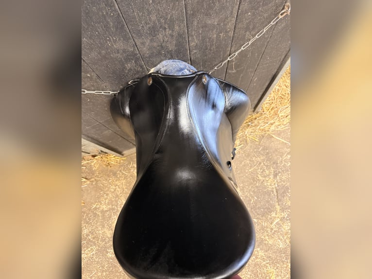 Prestige dressuur zadel