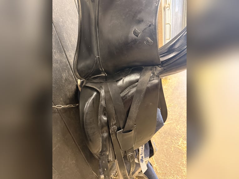 Prestige dressuur zadel