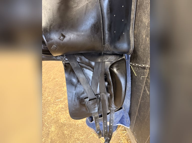 Prestige dressuur zadel