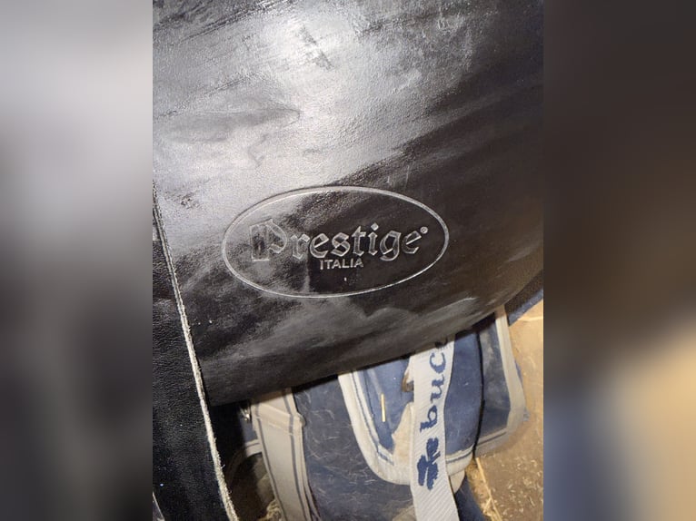 Prestige dressuur zadel