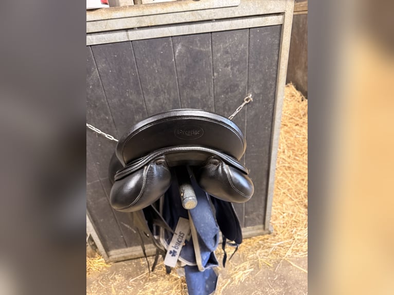 Prestige dressuur zadel